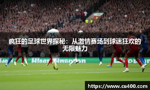 疯狂的足球世界探秘：从激情赛场到球迷狂欢的无限魅力
